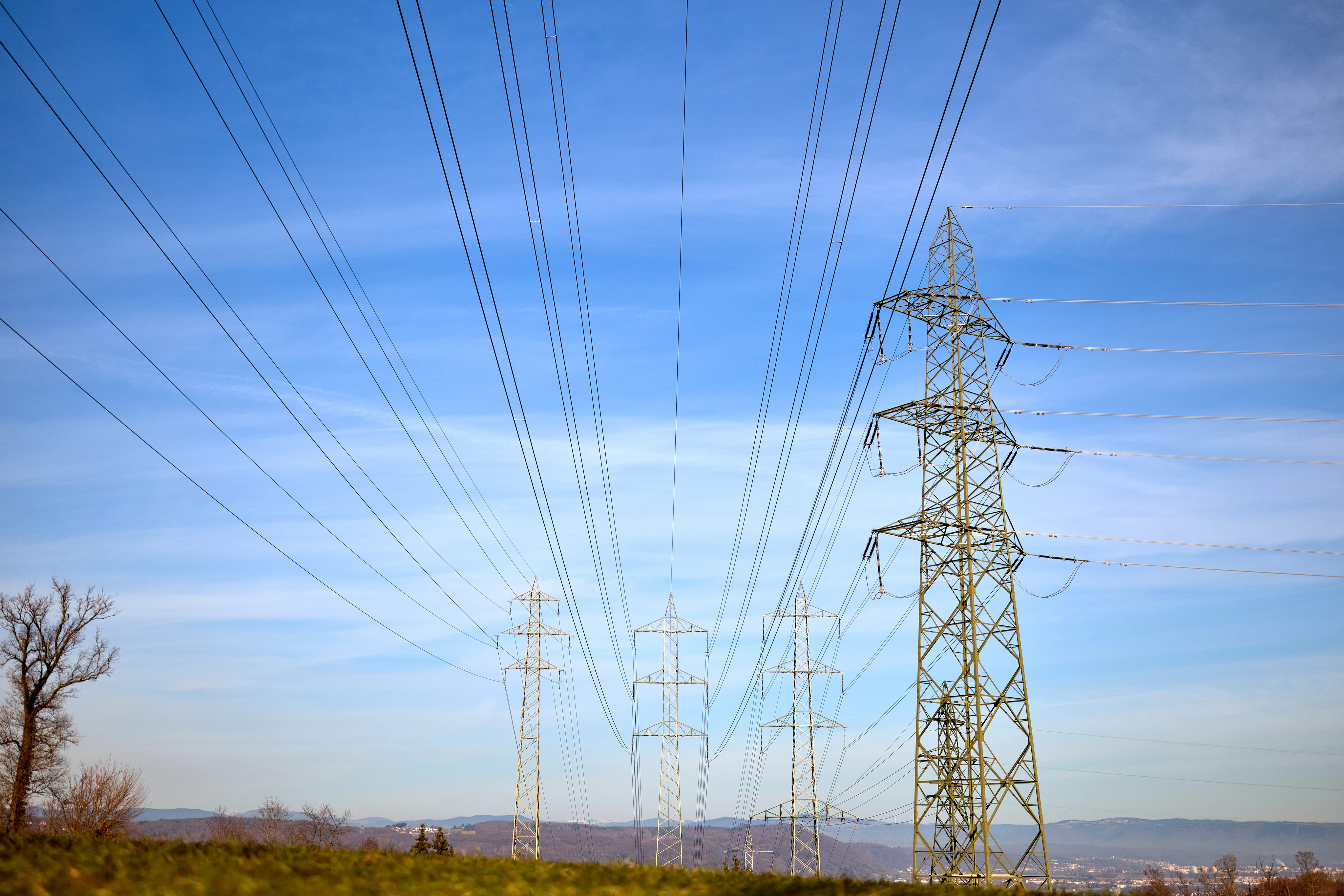 260121_PRI_FreileitungsmastenMuttenz_05