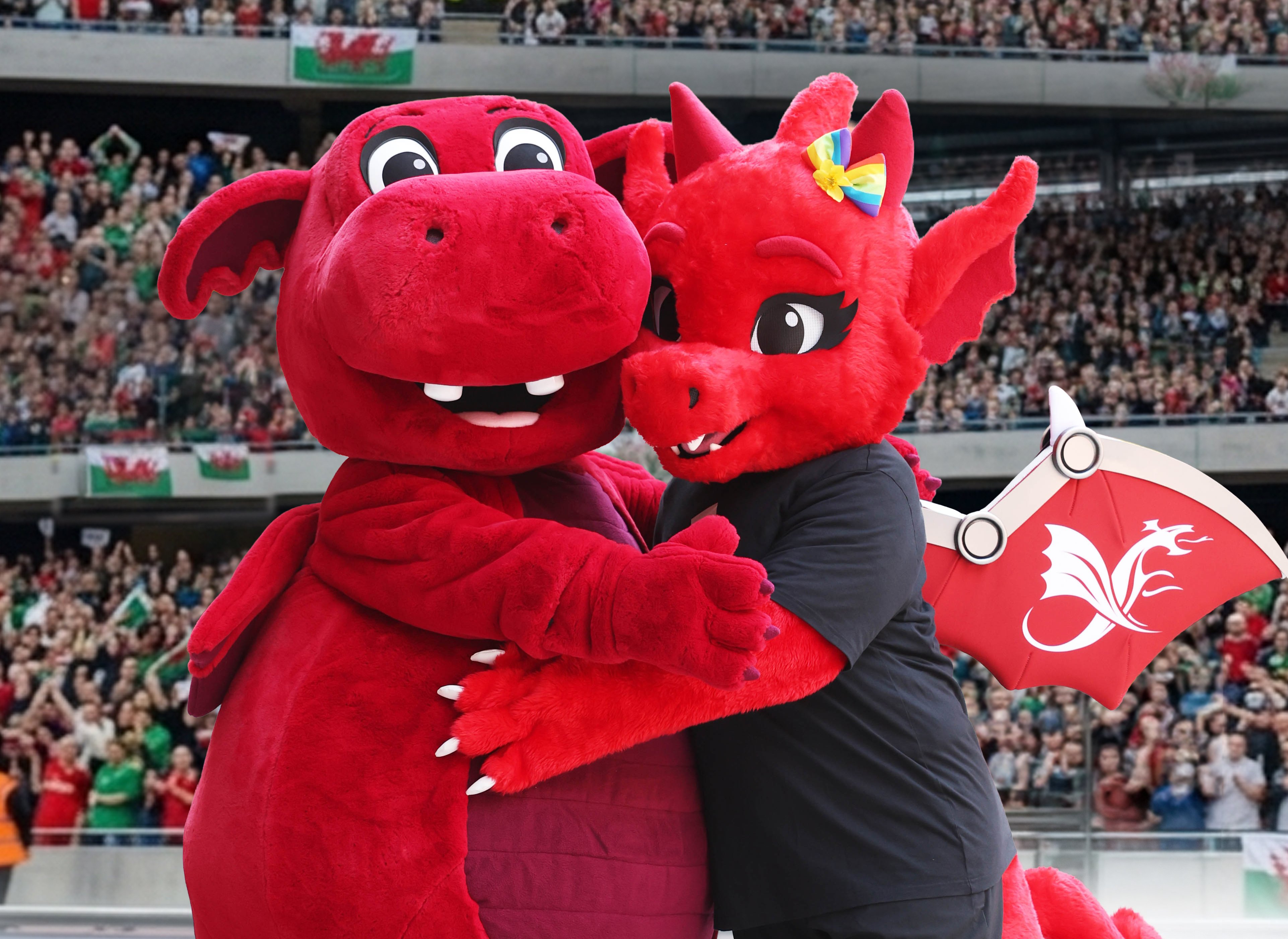 Principality mascot hugging Team Wales mascot