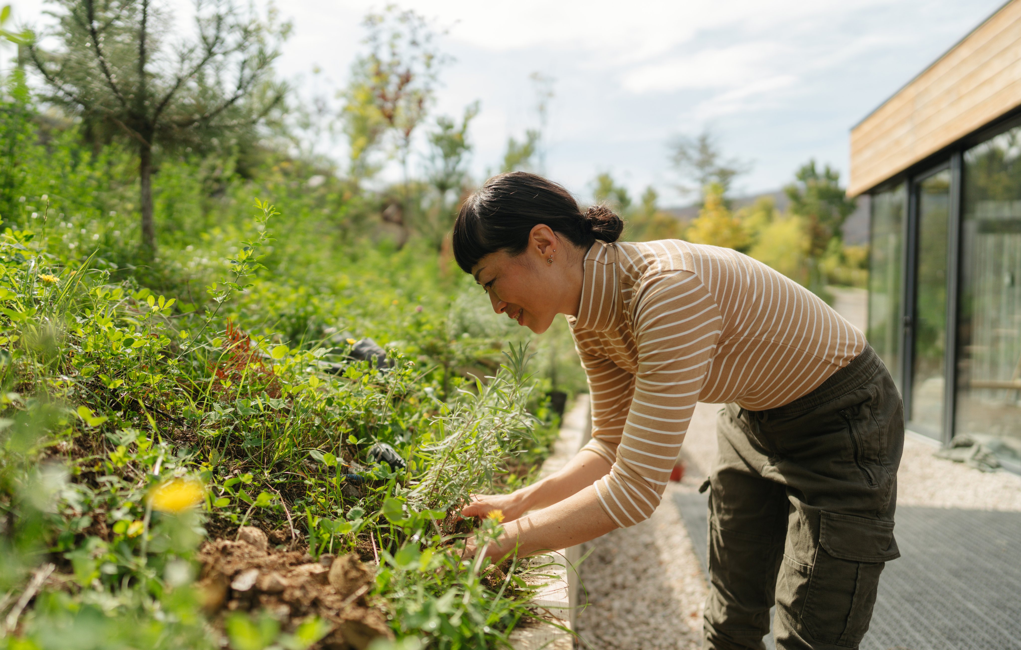 Photo of a smiling woman planting a sapling in a  beautiful, lush garden in a springtime