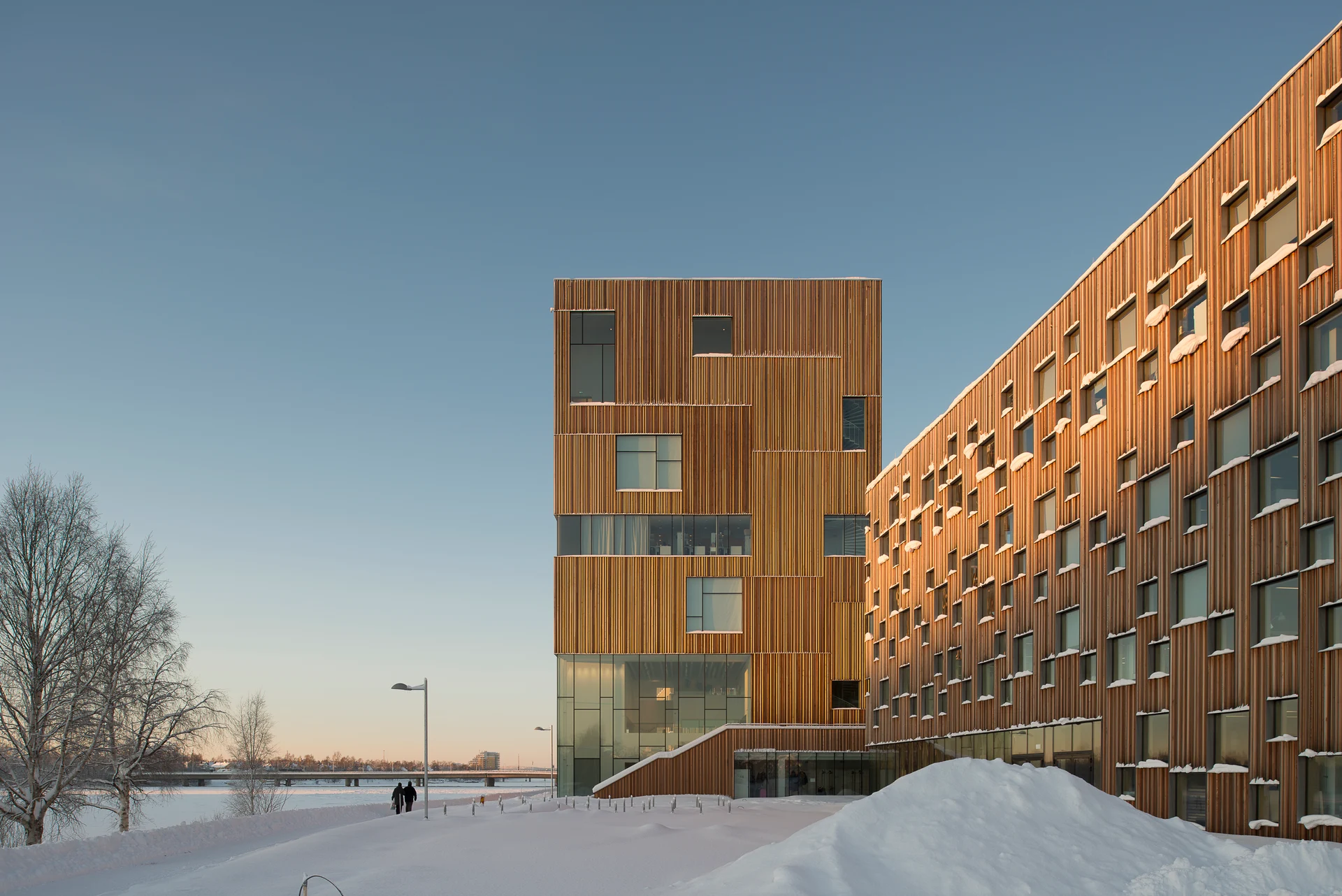 Bildmuseet och arkitekthögskolan, Umeå universitet. Arkitektur: Henning Larsen Architects i samarbete med White.