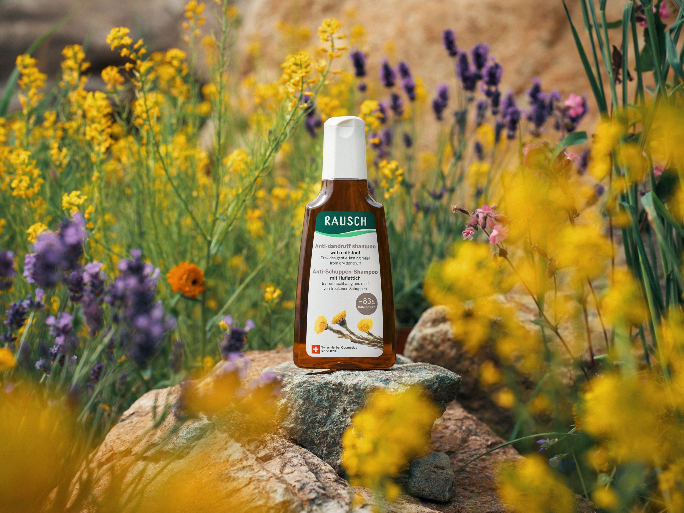 230619_Rausch_Coltsfoot_mood