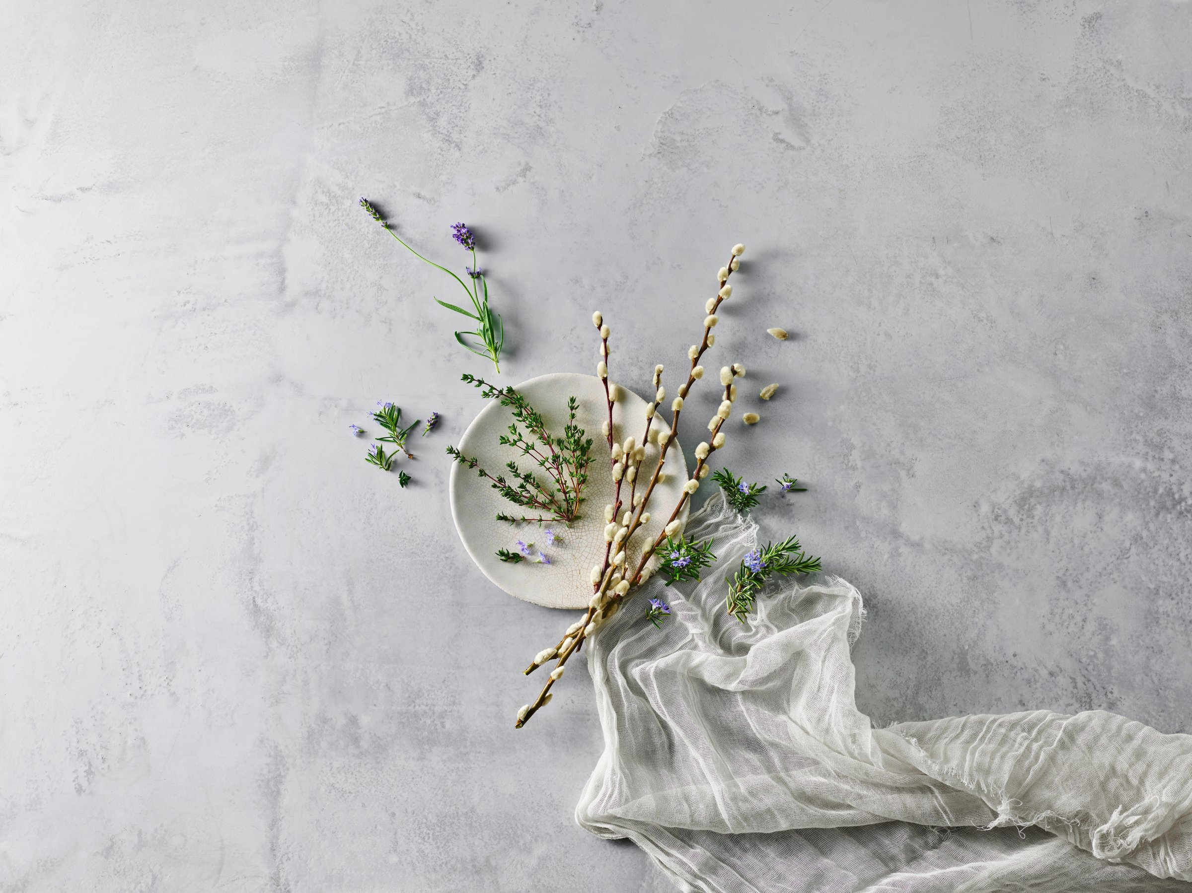 RAUSCH_62876_Weidenrinde_2_300dpi