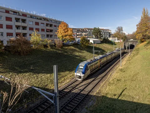 Ein blauer TER-Zug fährt auf Gleisen, die sich durch eine grüne Landschaft schlängeln, und nähert sich dem Eingang des Kannenfeldtunnels in Basel. Im Hintergrund sind mehrstöckige Gebäude und herbstlich gefärbte Bäume zu sehen.