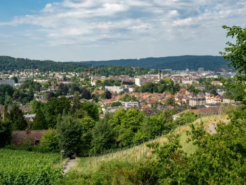 Une ville avec de nombreuses maisons entourées de vignes au premier plan et de forêts en arrière-plan.