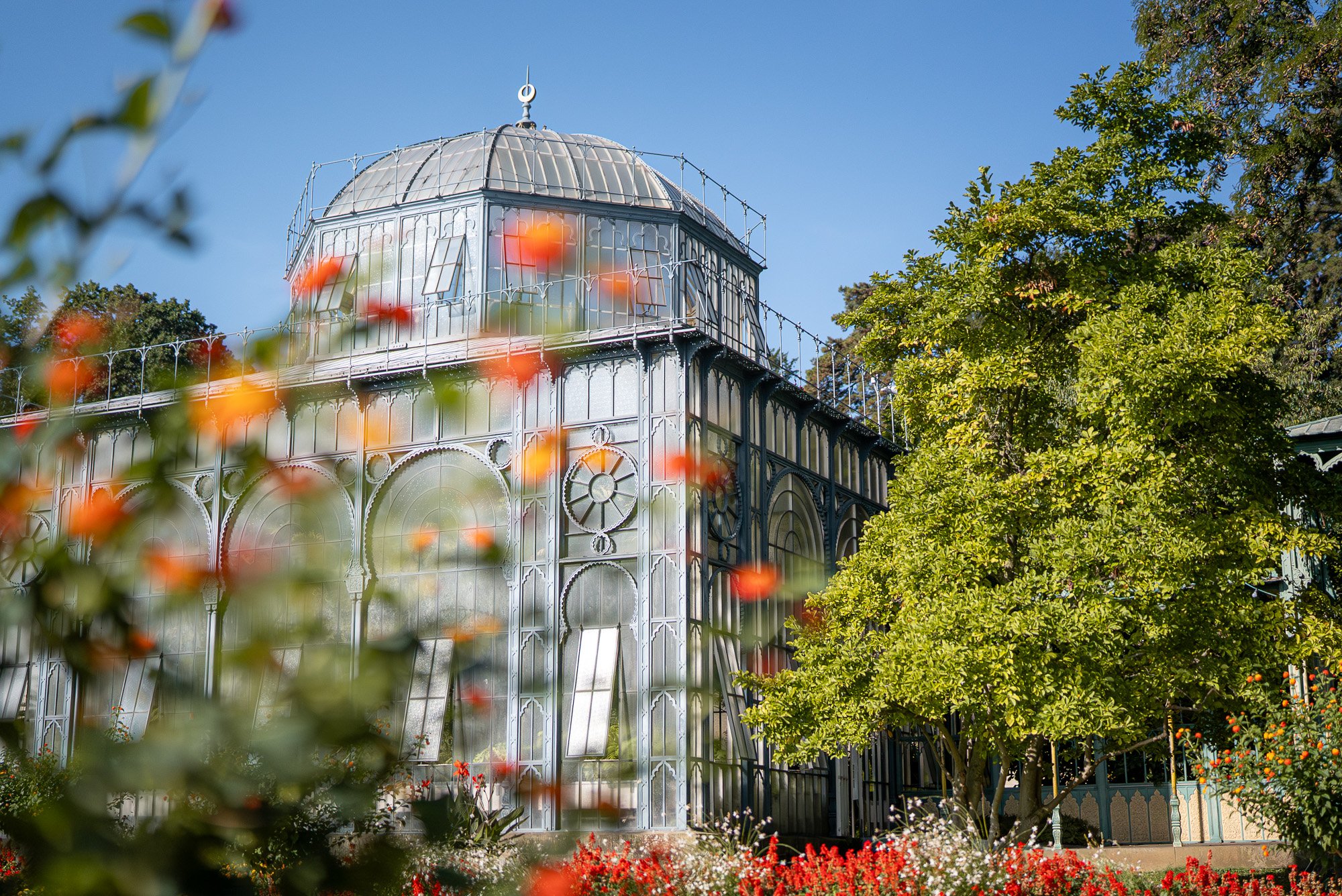 Vue sur les parois vitrées de la serre et sa coupole de verre à travers les massifs fleuris.