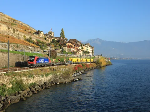 Ein Güterzug im Einzelwagenladungsverkehr fährt in Saint-Saphorin am Genfersee entlang.
