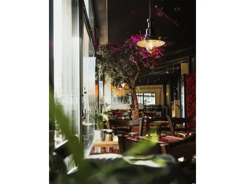 Vista del ristorante dall’interno, con tavoli, sedie e un ulivo.