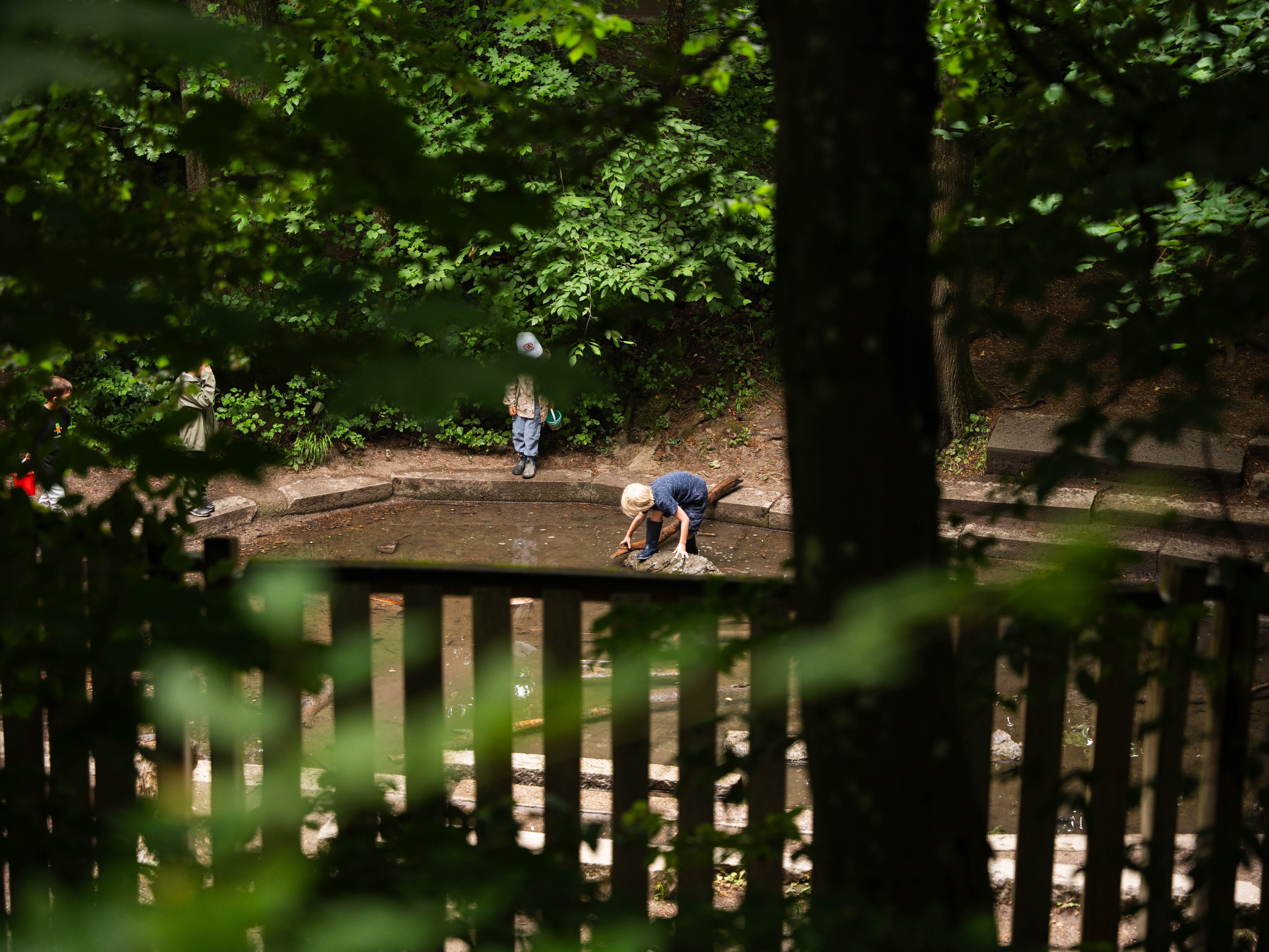 Robinsonspielplatz von Bäumen umgeben