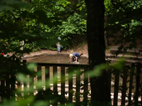 Robinsonspielplatz von Bäumen umgeben
