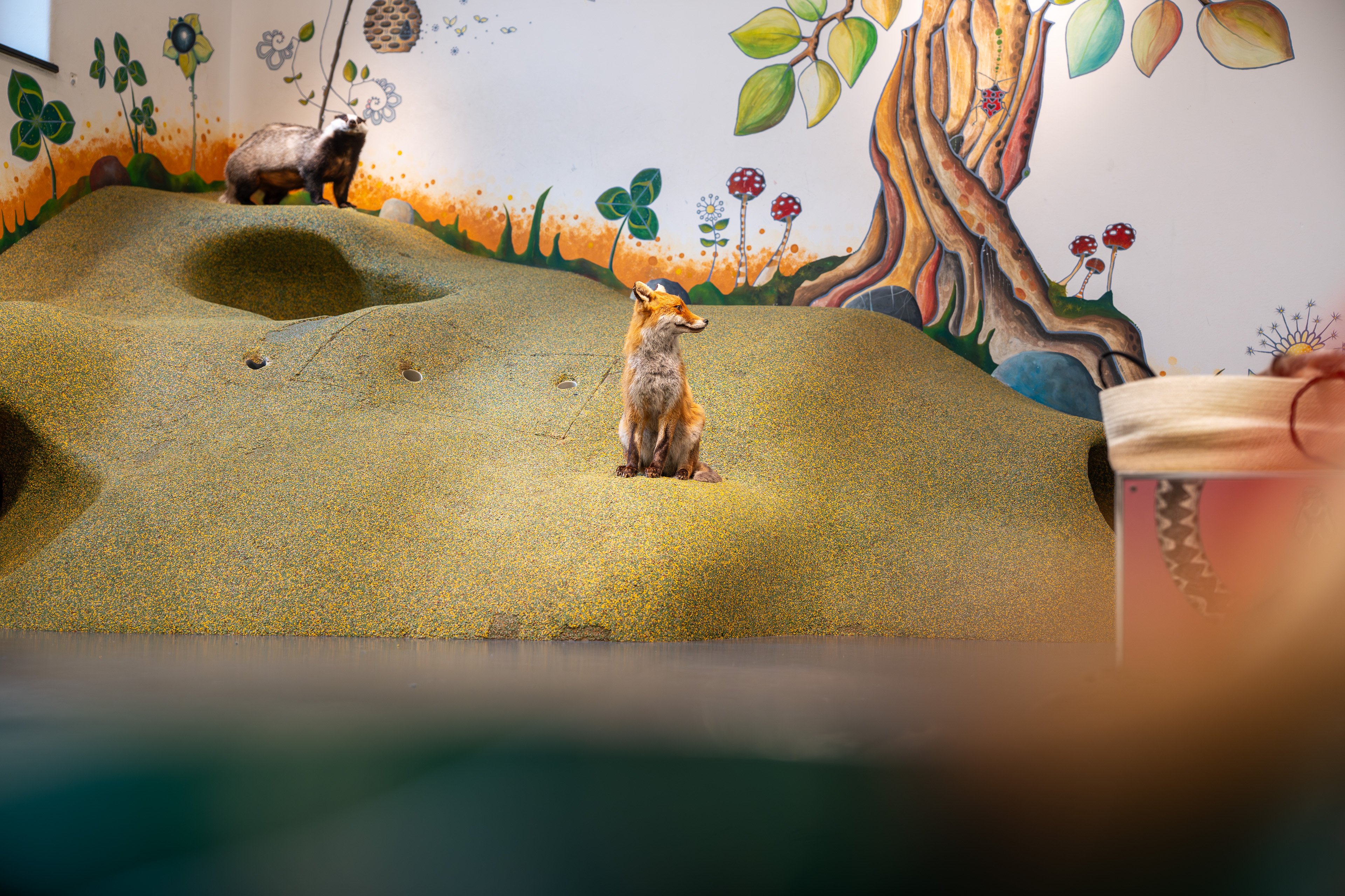 Begehbarer Fuchs- und Dachsbau. 