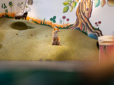 Begehbarer Fuchs- und Dachsbau.