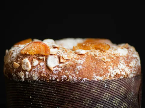 Ein Panettone vor einem dunklen Hintergrund.