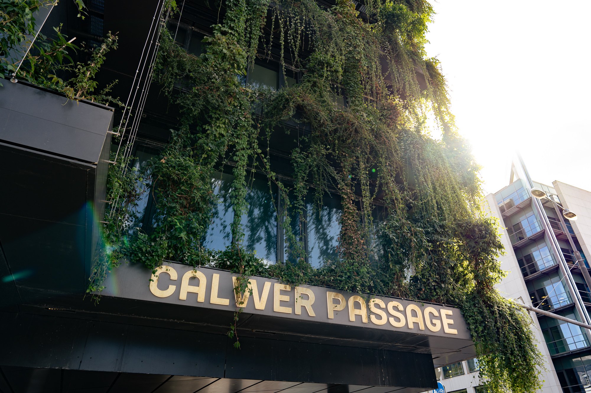 Ein grünes Kunstwerk ist die Calwer Passage. 