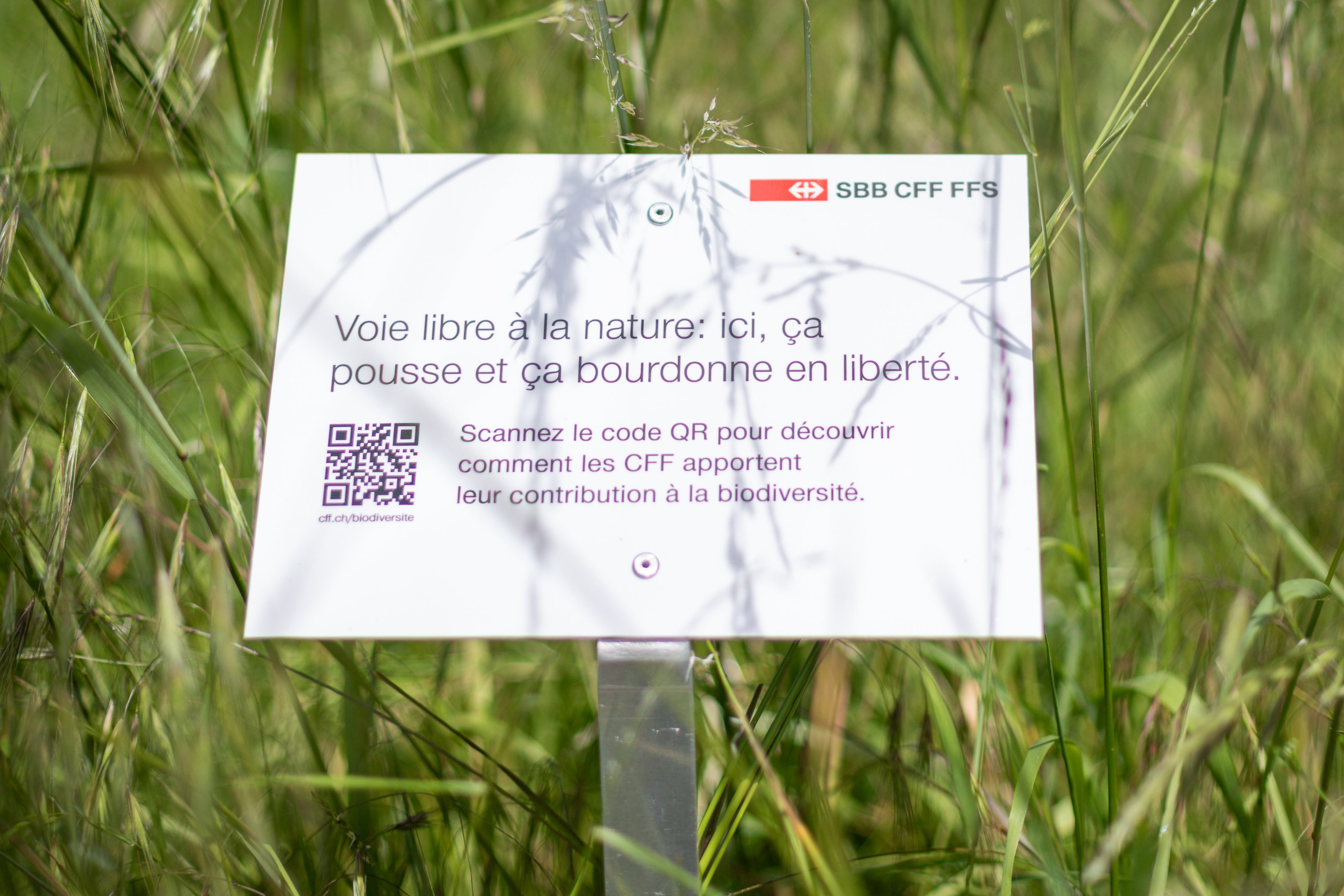 Schild mit QR-Code inmitten von Gräsern. Aufschrift: «Voie libre à la nature : ici, ça pousse et ça bourdonne en liberté »