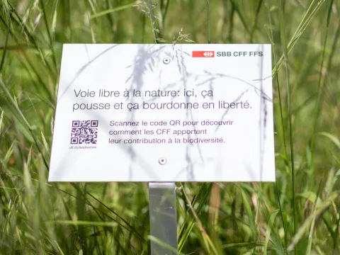 Schild mit QR-Code inmitten von Gräsern. Aufschrift: «Voie libre à la nature : ici, ça pousse et ça bourdonne en liberté »