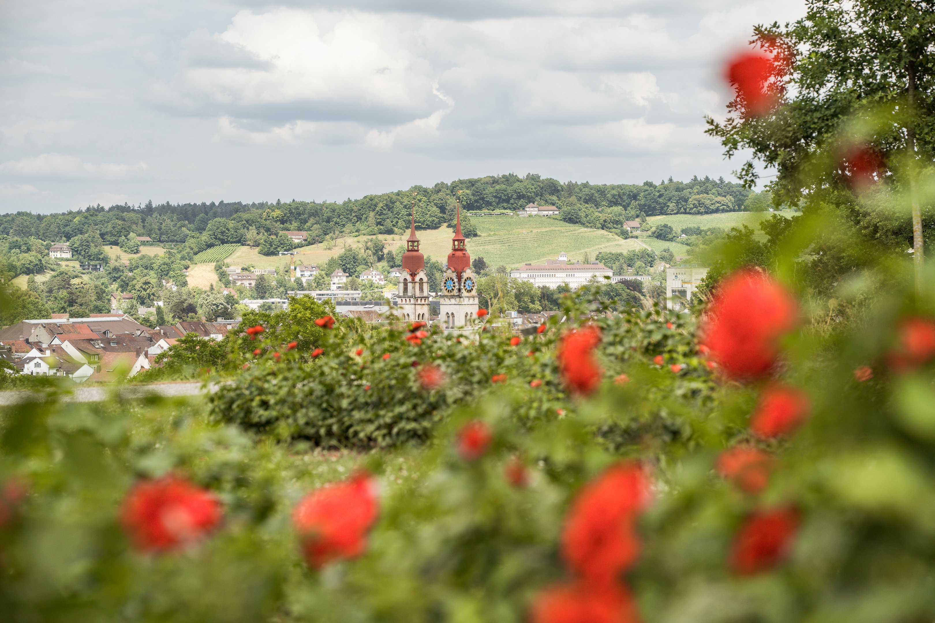 Un parc rempli de roses rouges, avec en arrière-plan les deux clochers et les toits des maisons de la vieille ville de Winterthour.