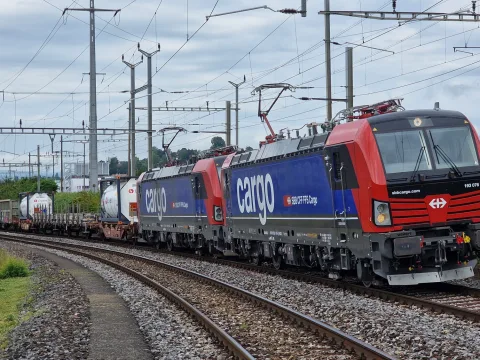 Paesaggio con un treno merci.