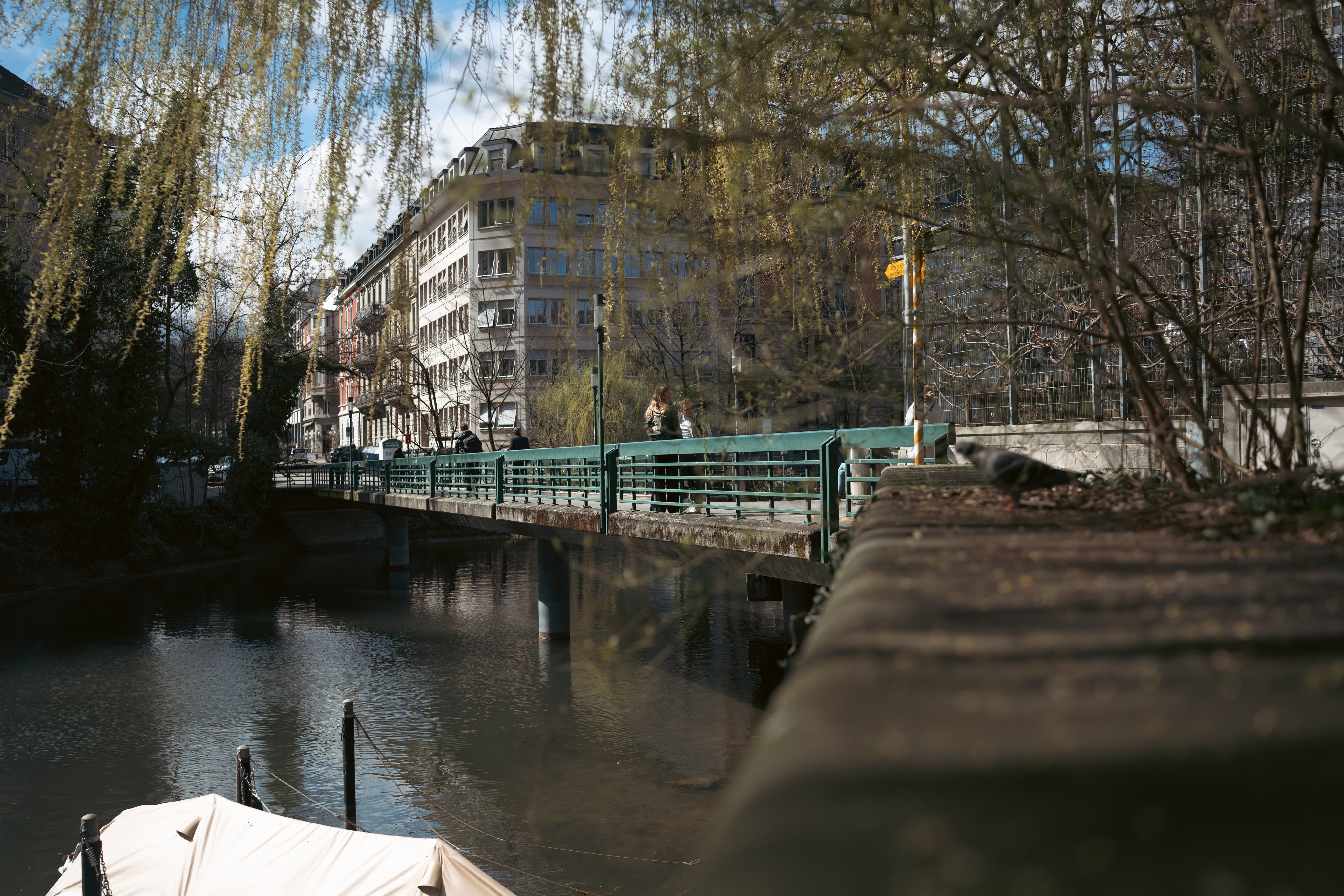 Un pont passe par-dessus un petit cours d’eau entouré d’arbres et de maisons de ville.