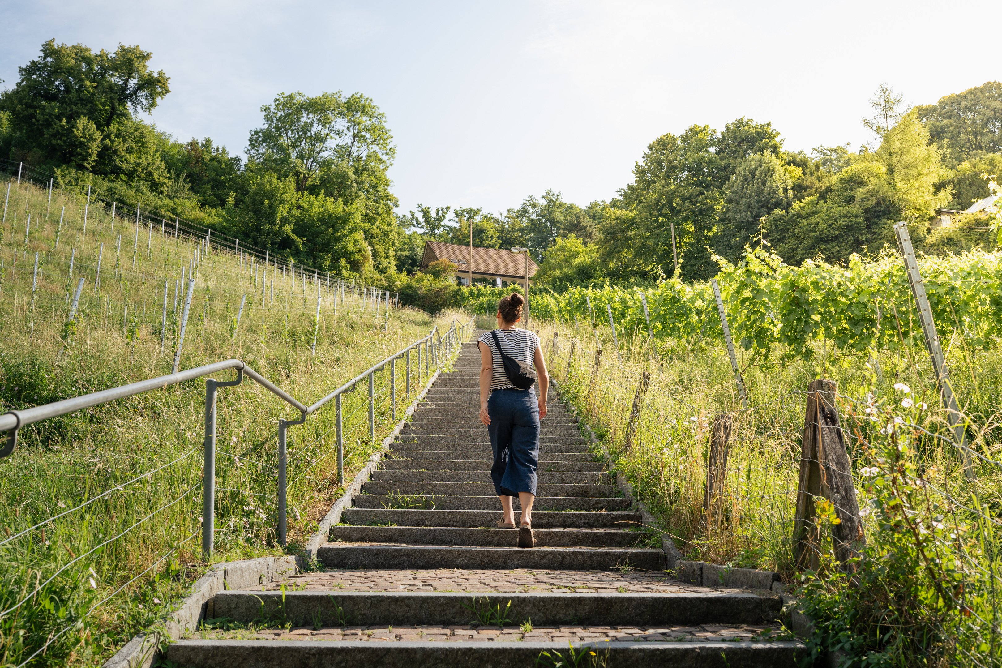 Une femme monte un escalier en pierre jusqu’à une maison. L’escalier est bordé de vignes.