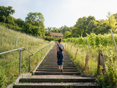 Une femme monte un escalier en pierre jusqu’à une maison. L’escalier est bordé de vignes.