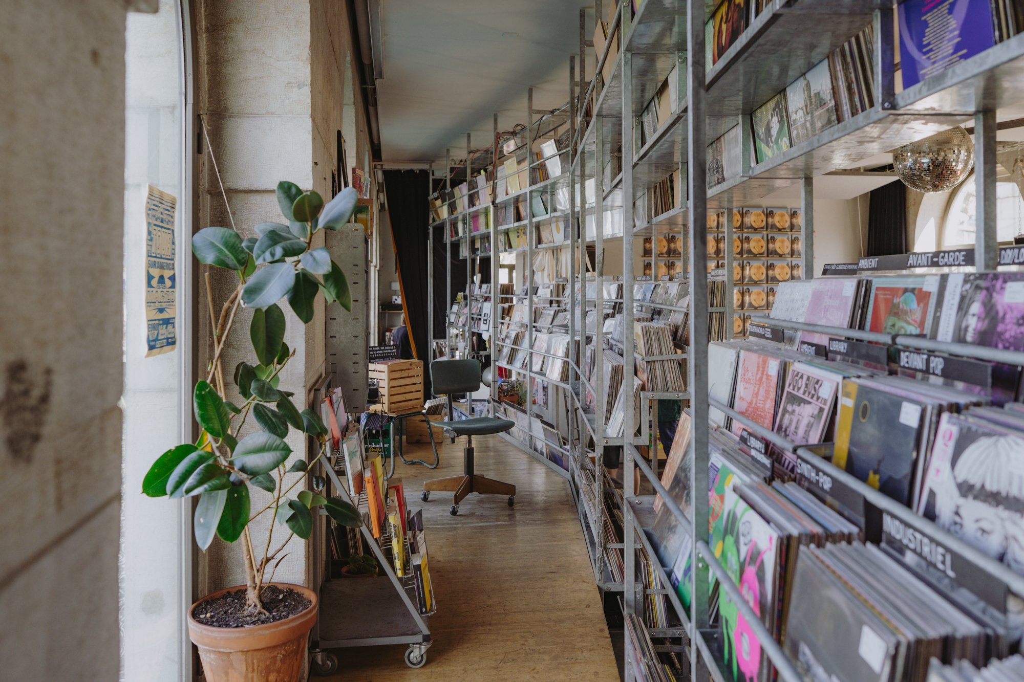 Une boutique avec des disques sur des étagères en métal, une plante verte et une chaise de bureau au milieu.