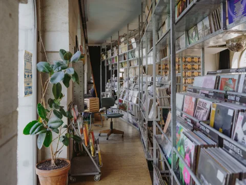 Une boutique avec des disques sur des étagères en métal, une plante verte et une chaise de bureau au milieu.