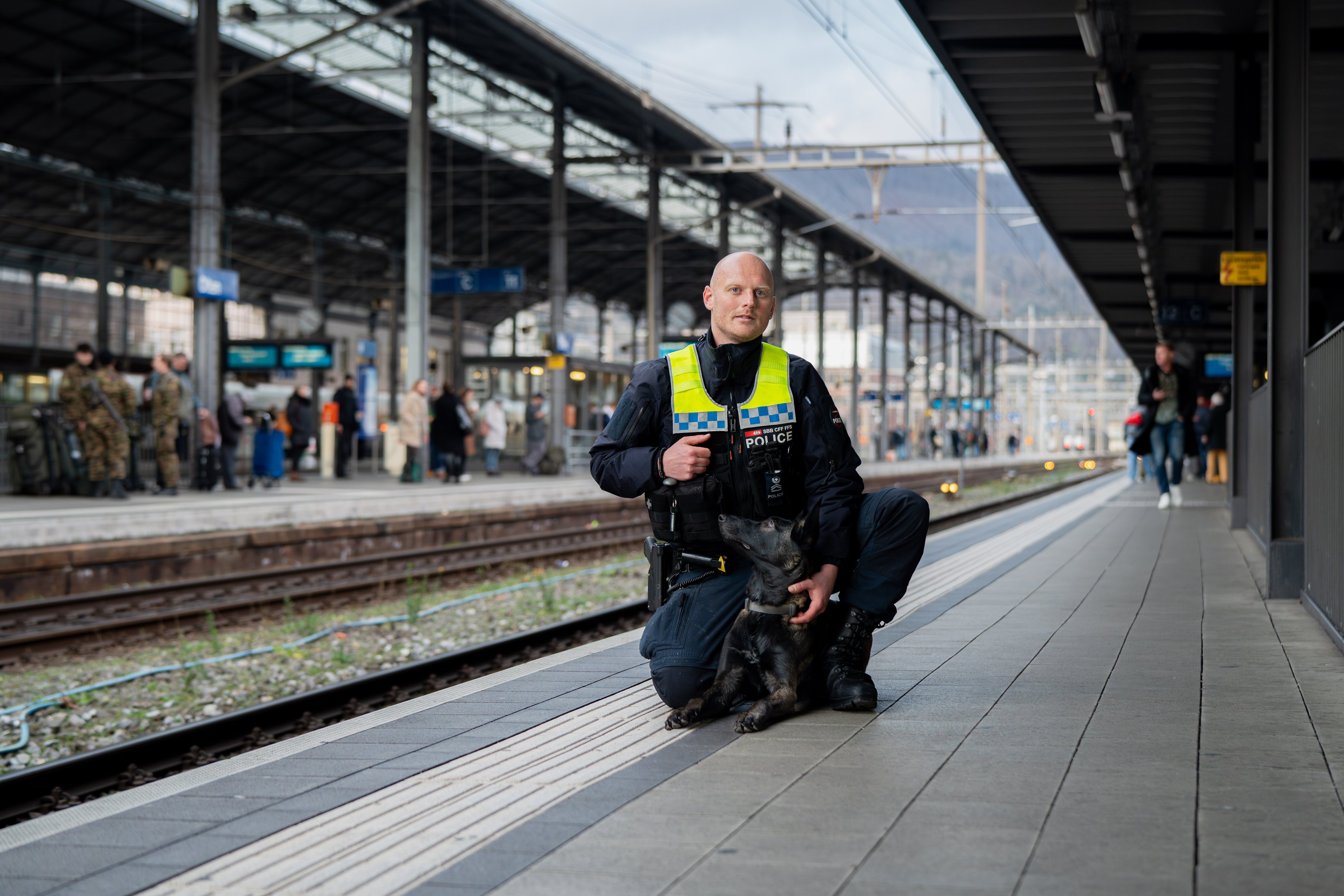 Ausbildung von Polizeihunden – wie geht das?
