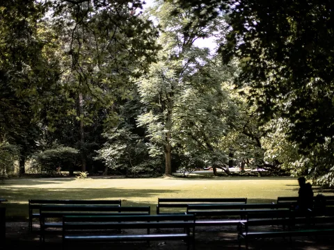 Panchine del parco davanti a un prato e ad alberi.