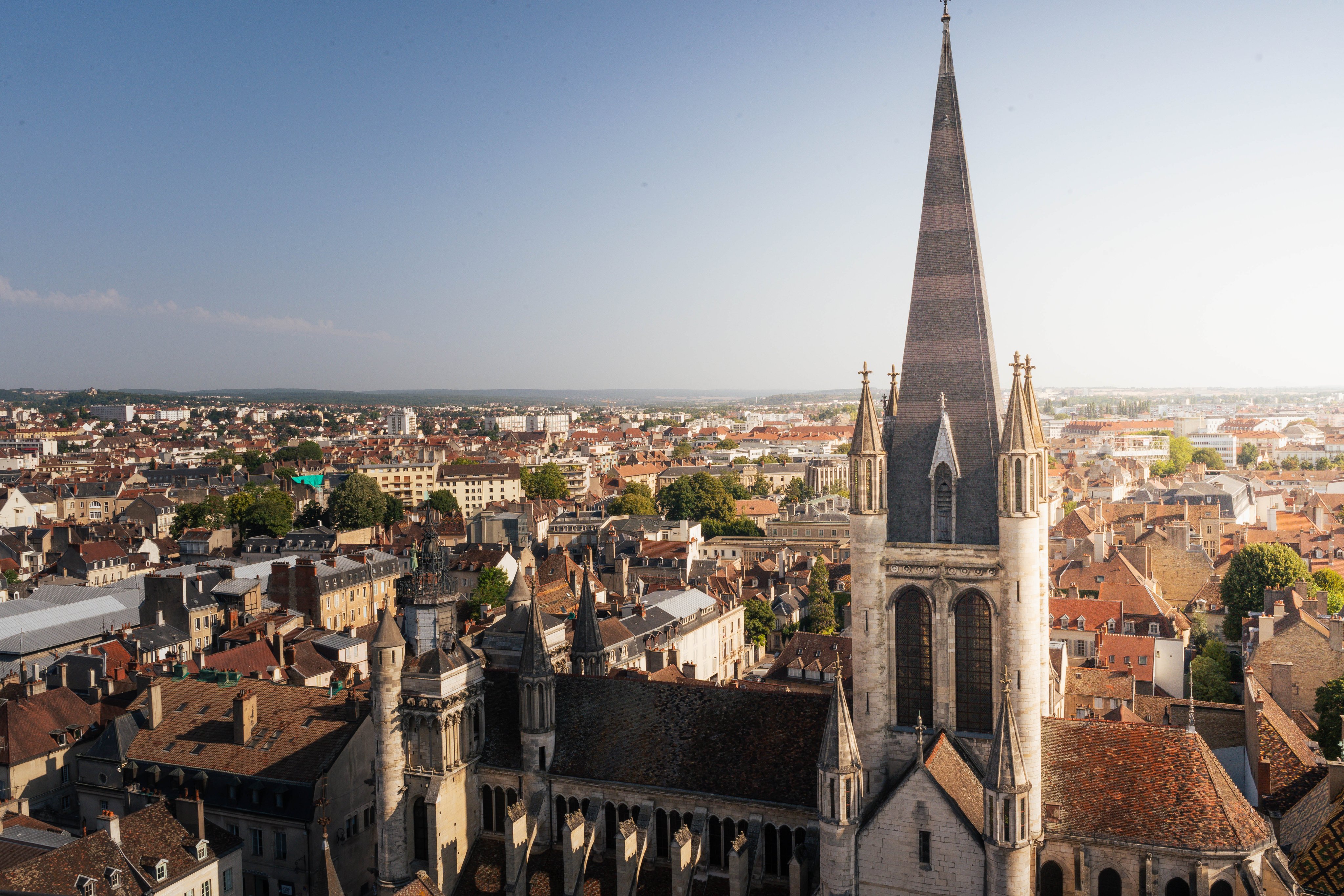 Vista sulla città di Digione, con vari palazzi e chiese sullo sfondo di un cielo azzurro. 