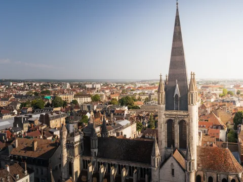 Vista sulla città di Digione, con vari palazzi e chiese sullo sfondo di un cielo azzurro.
