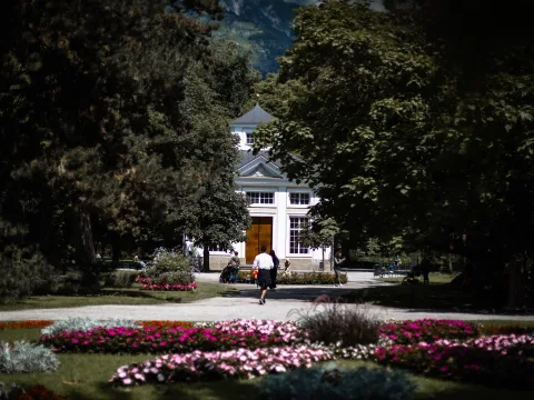 Una persona cammina nel parco tra aiuole fiorite.