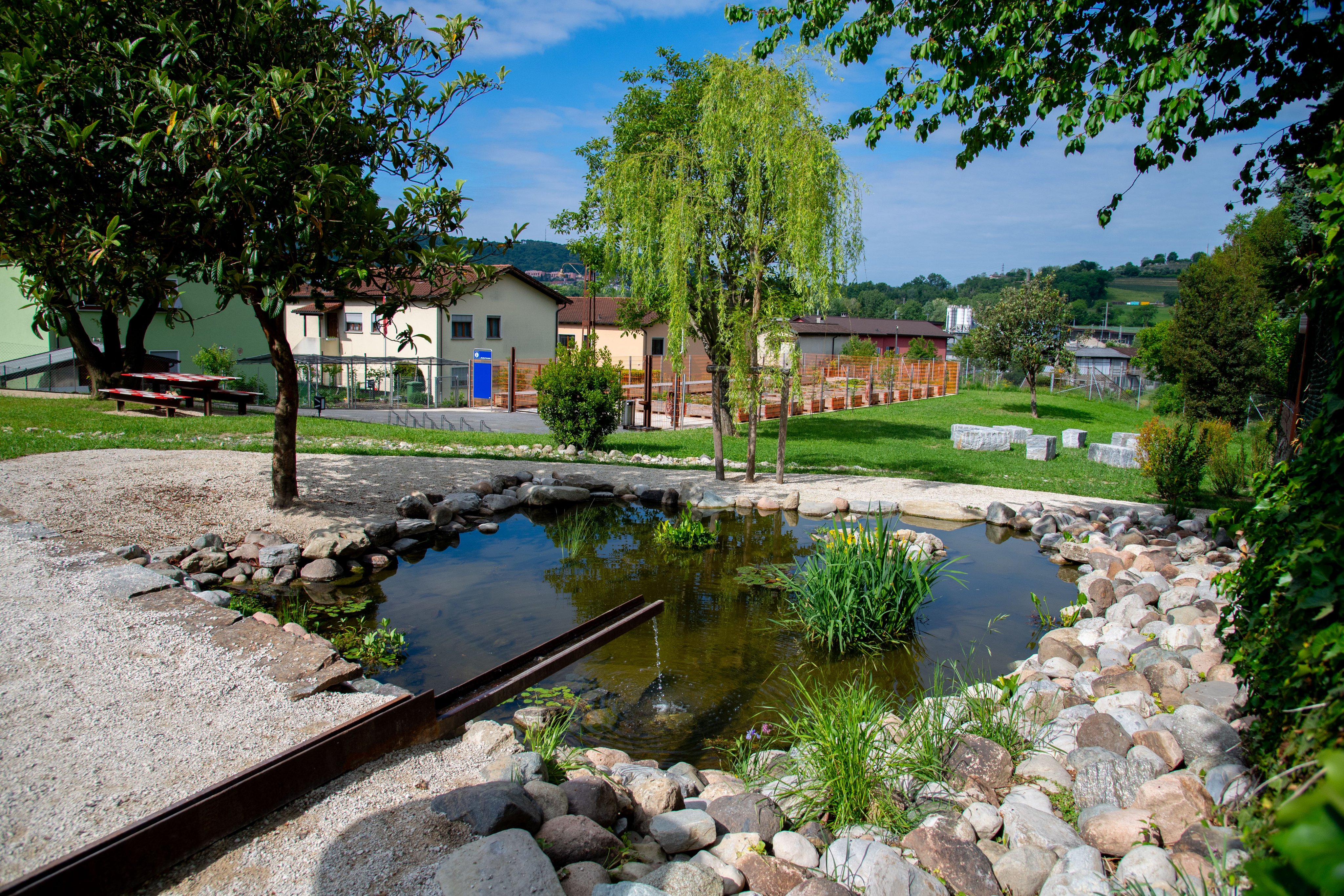 Ein Teich und Bäume