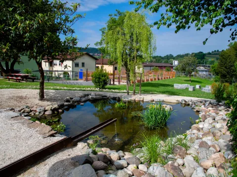 Ein Teich und Bäume