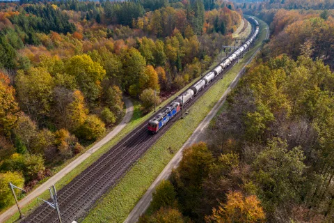 Treno Cargo in un paesaggio autunnale