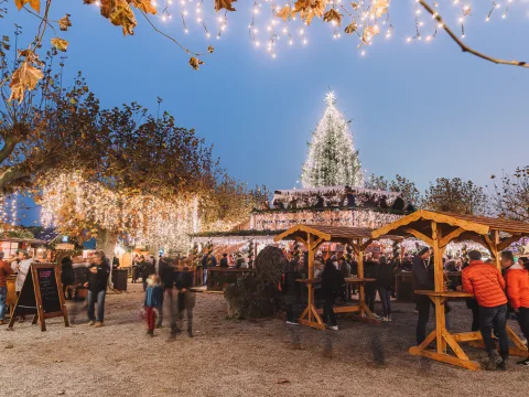 Illuminations dans les arbres et sur les stands.