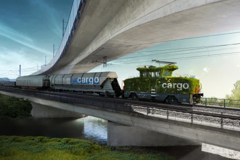 Immagine: locomotiva di manovra FFS Cargo ricoperta di muschio