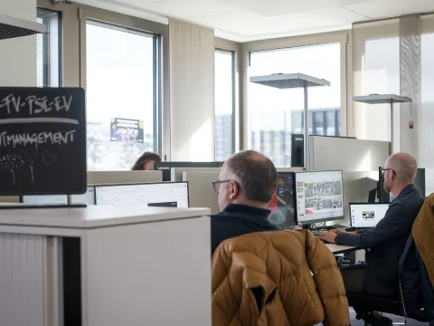 Trois personnes sont assises chacune devant un ordinateur. Le soleil brille dans le bureau.