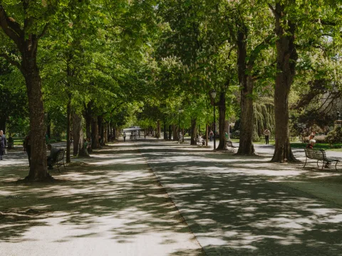 Allée arborée avec bancs et promeneurs