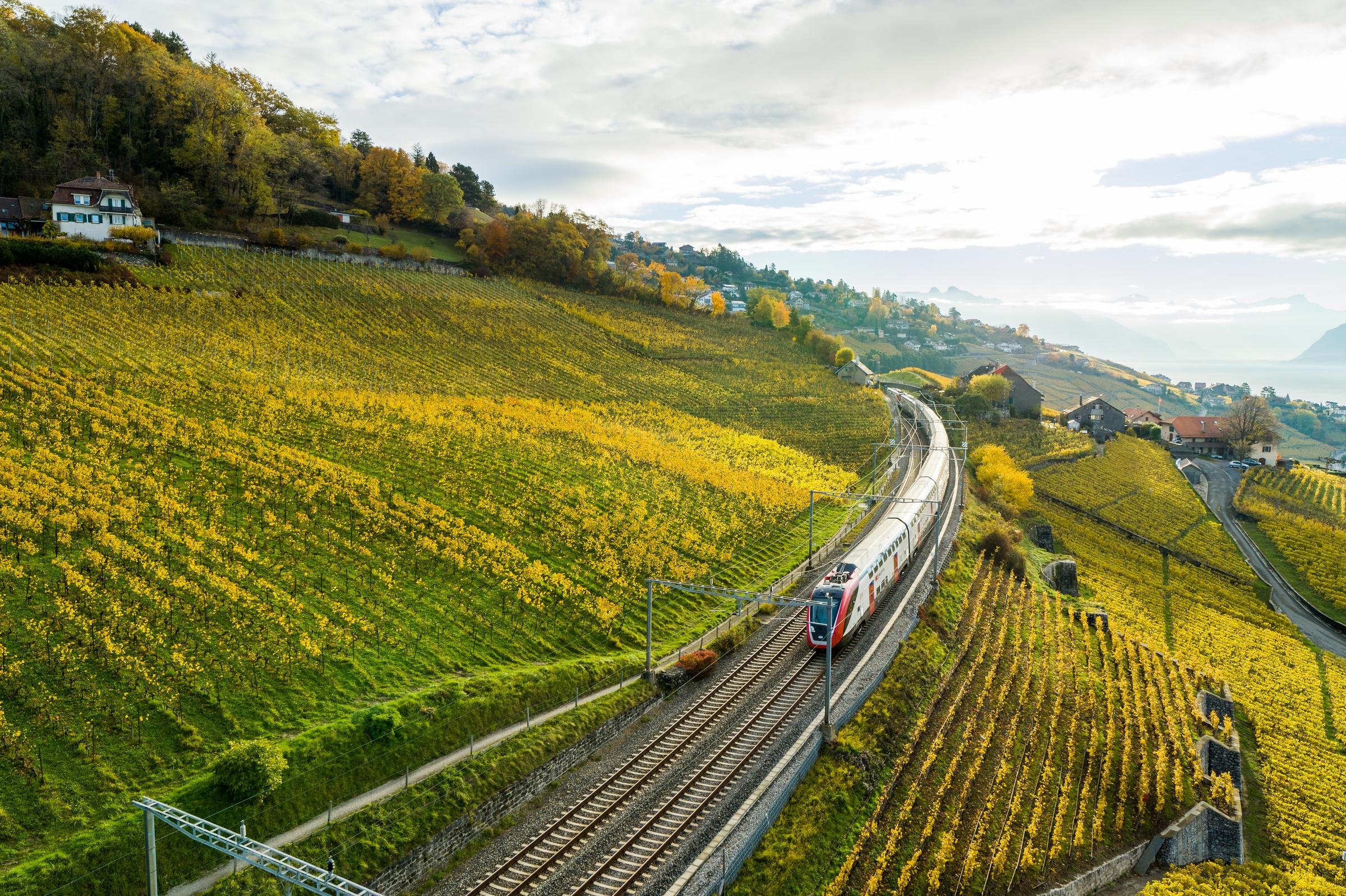 Ein Zug auf dem Geleise zwischen Reben in der Westschweiz