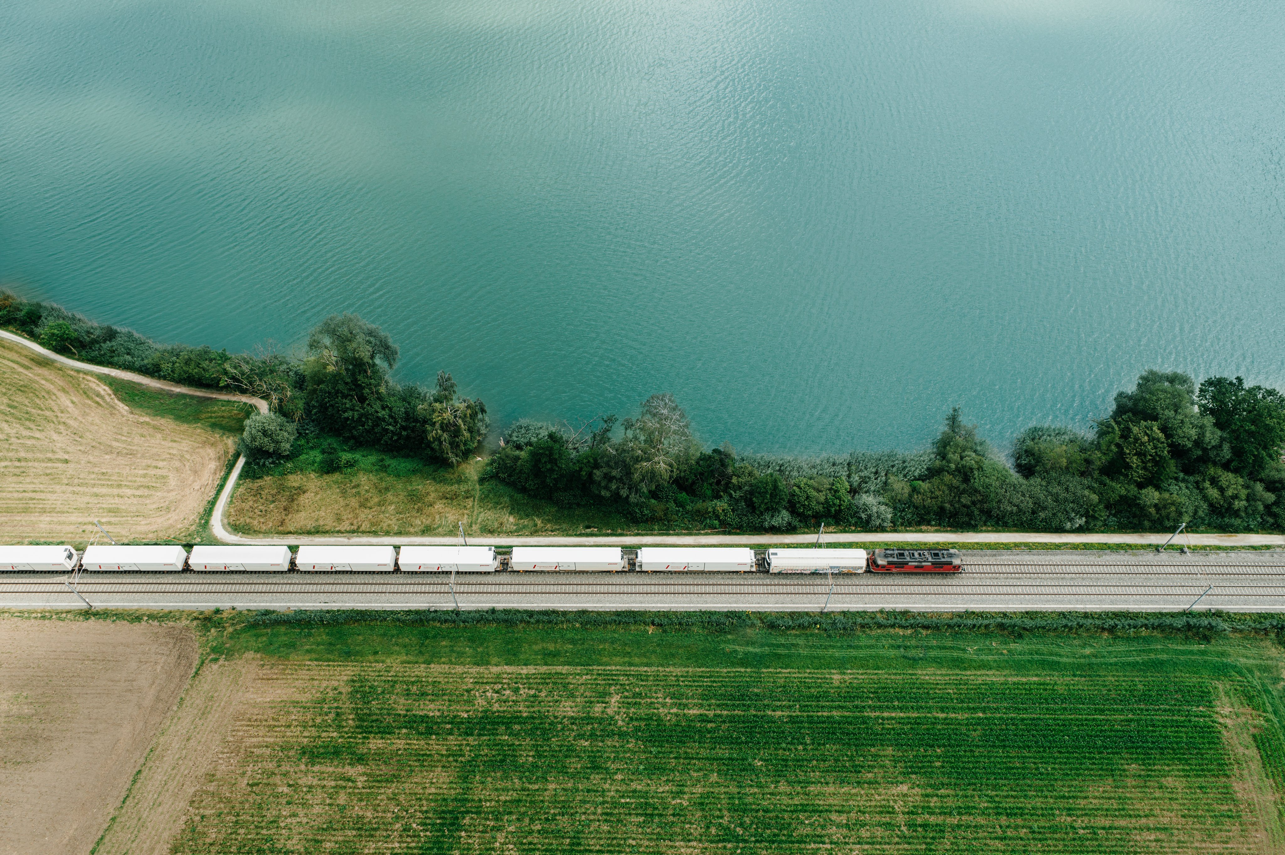 Nuova organizzazione per Vendita di FFS Cargo