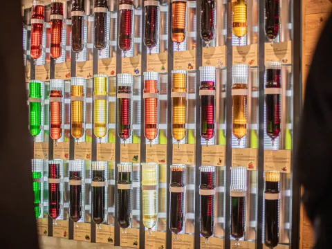 Una parete piena di bottiglie colorate di vetro con liquori e grappe.