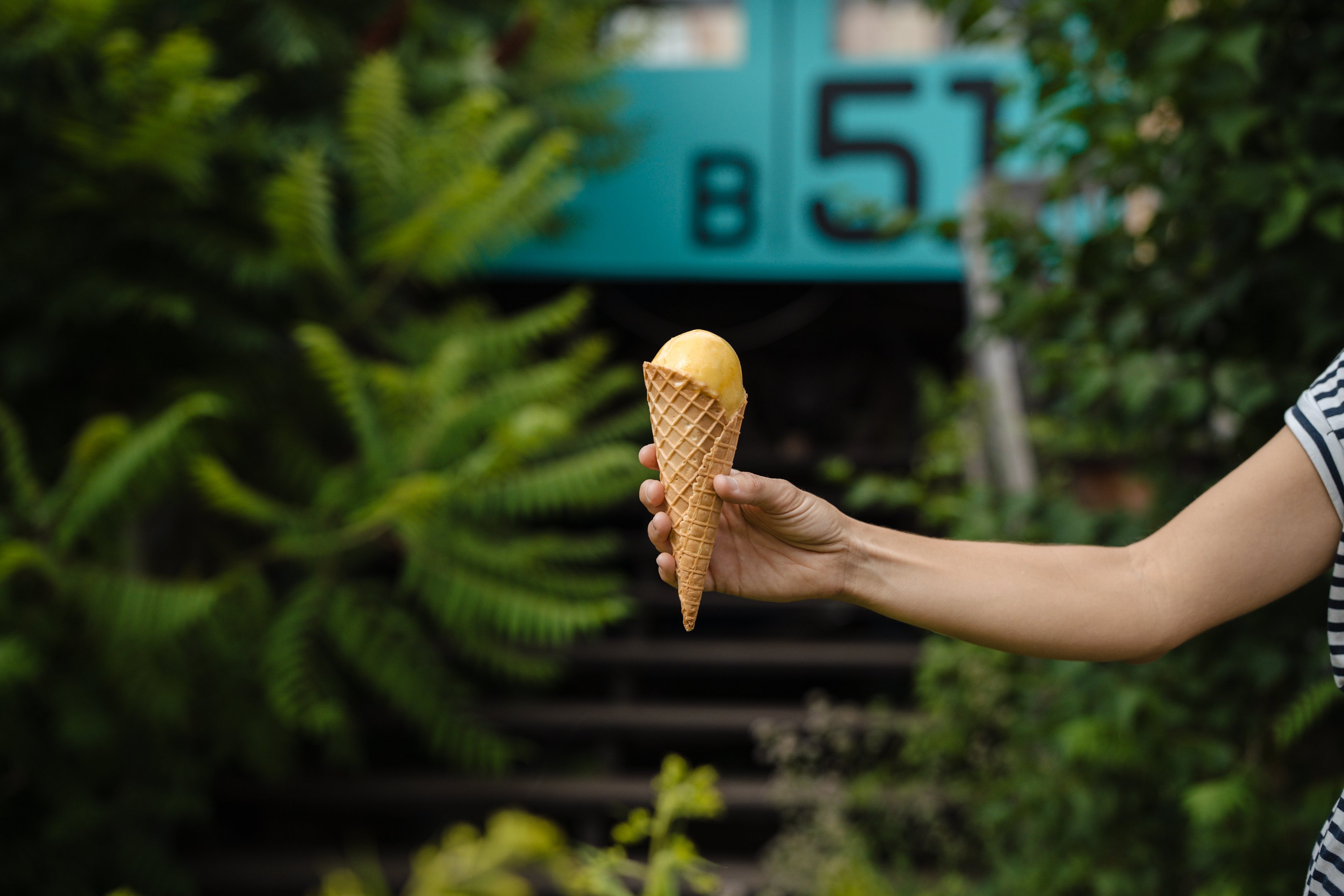 Main tenant une boule de glace dans un cornet. Derrière, il y a des plantes et un escalier.
