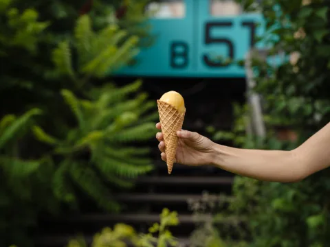 Main tenant une boule de glace dans un cornet. Derrière, il y a des plantes et un escalier.