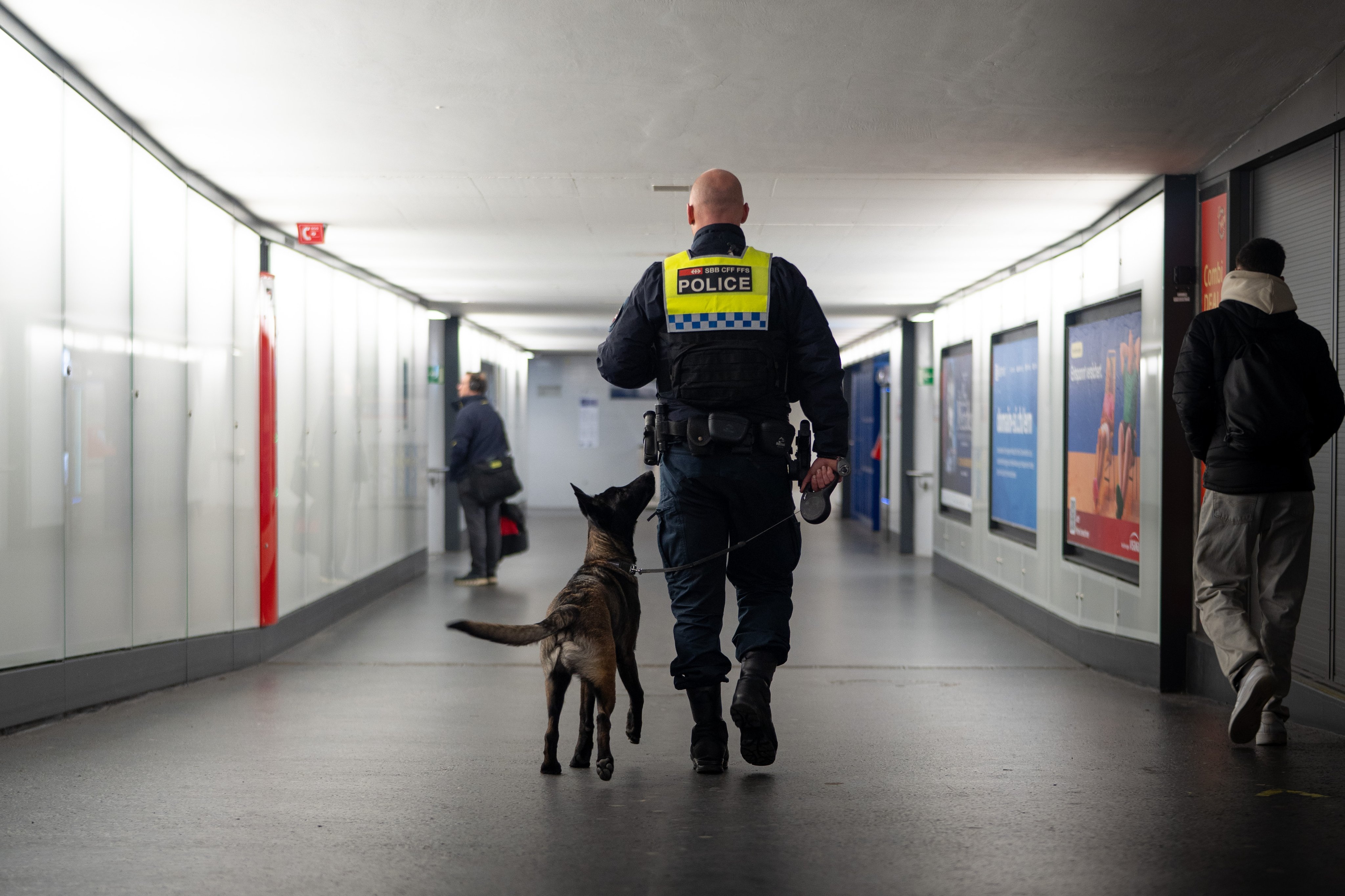 Der Polizeihund geht neben dem uniformierten Polizisten durch eine Bahnhofunterführung. Man sieht sie von hinten.