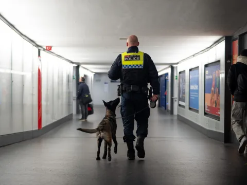 Der Polizeihund geht neben dem uniformierten Polizisten durch eine Bahnhofunterführung. Man sieht sie von hinten.