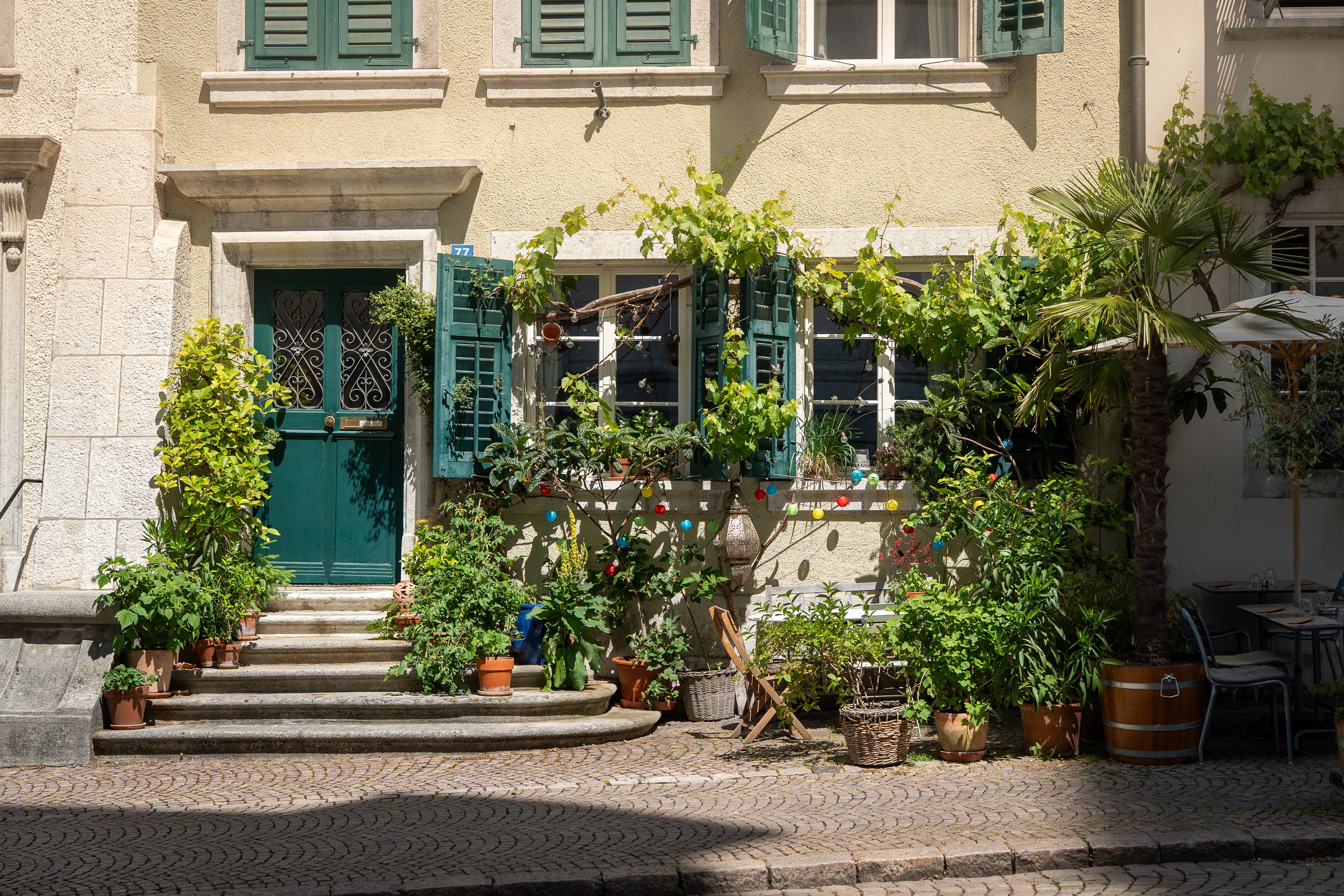 Hausfassade mit Eingangstüre und Fenstern sowie vielen Pflanzen, die vor dem Haus in Töpfen stehen.