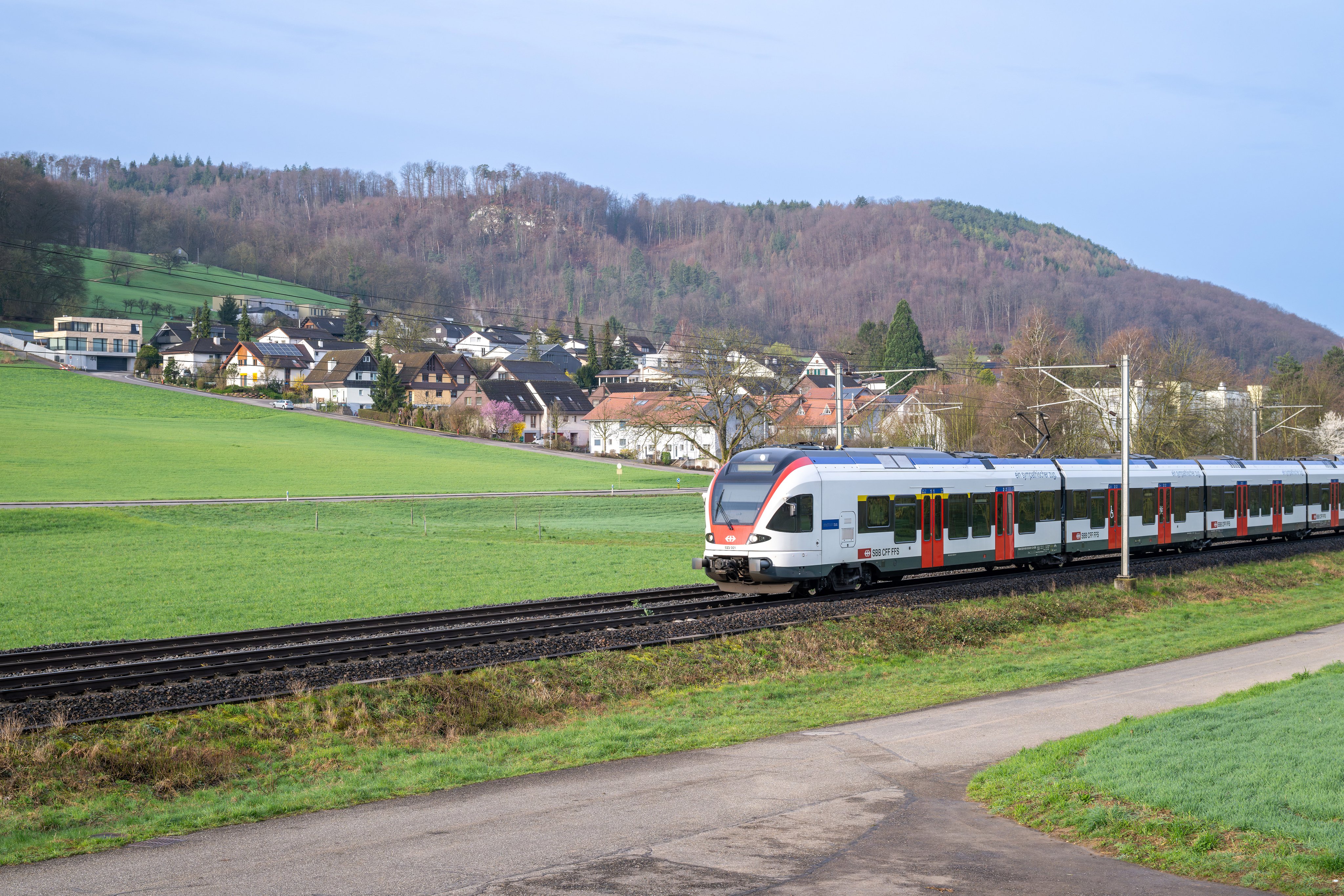 Zug Flirt in Baselland