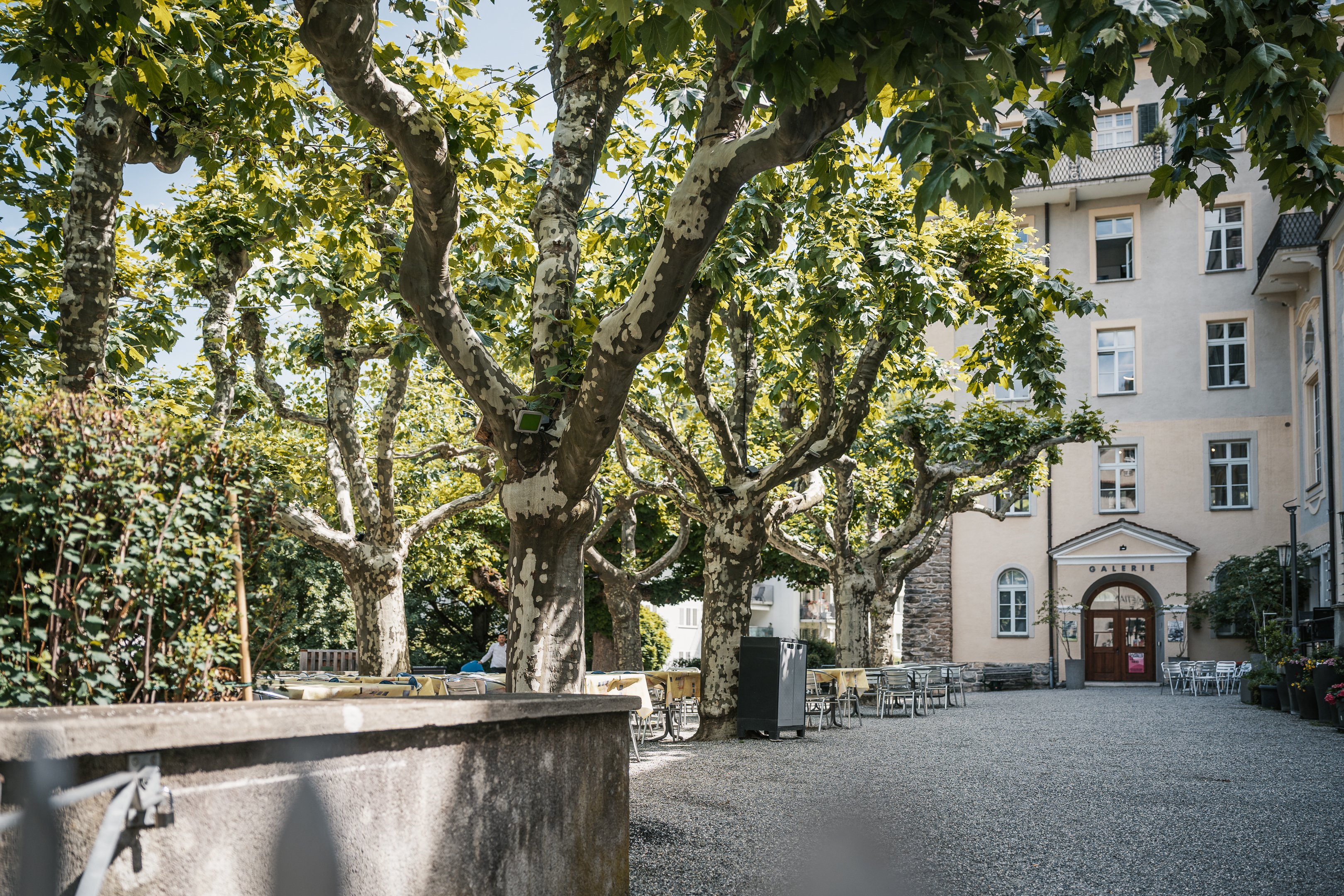 Il dehors con giardino del ristorante Marsöl di Coira, immerso tra antichi alberi.