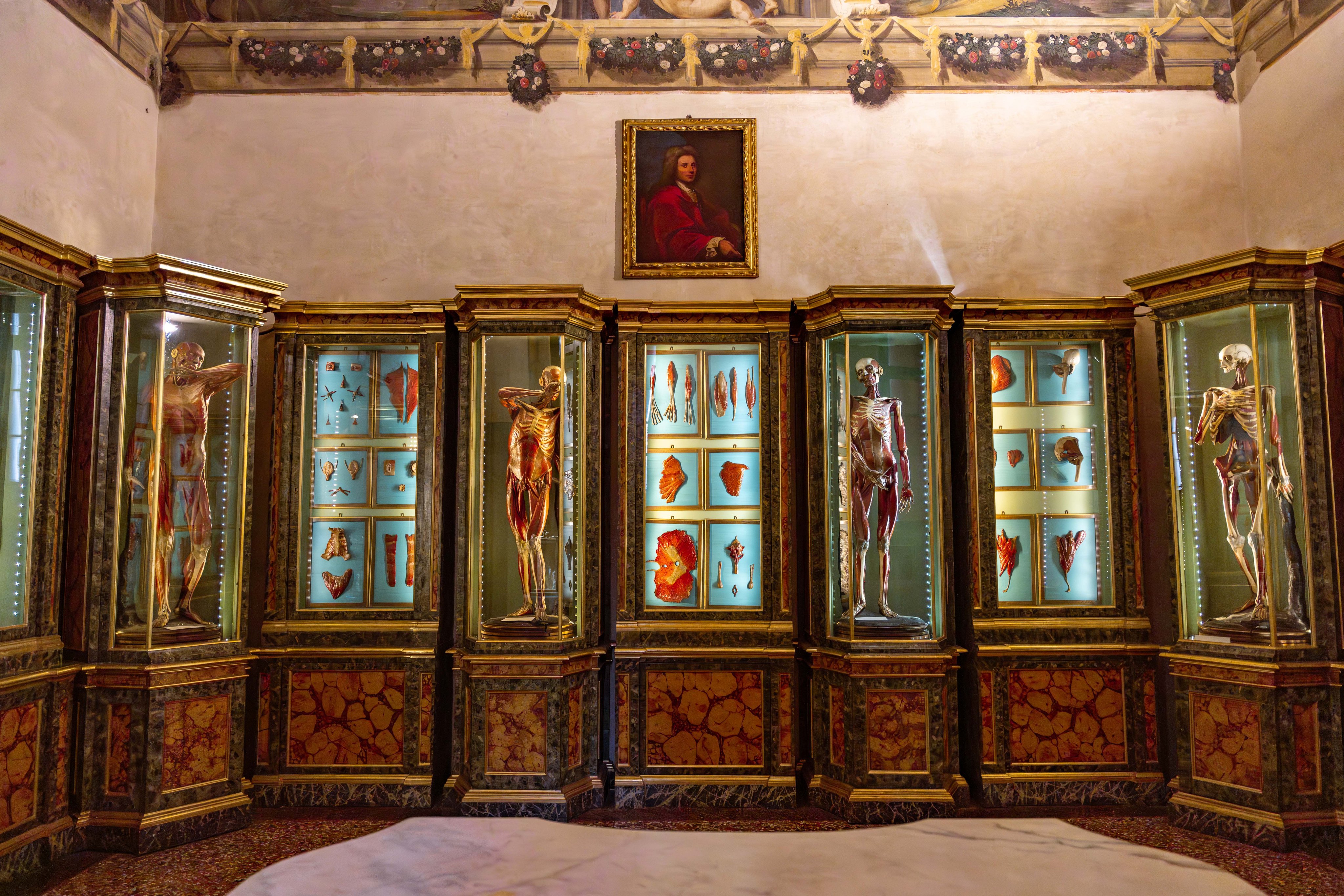 Anatomy Exhibition in a Museum