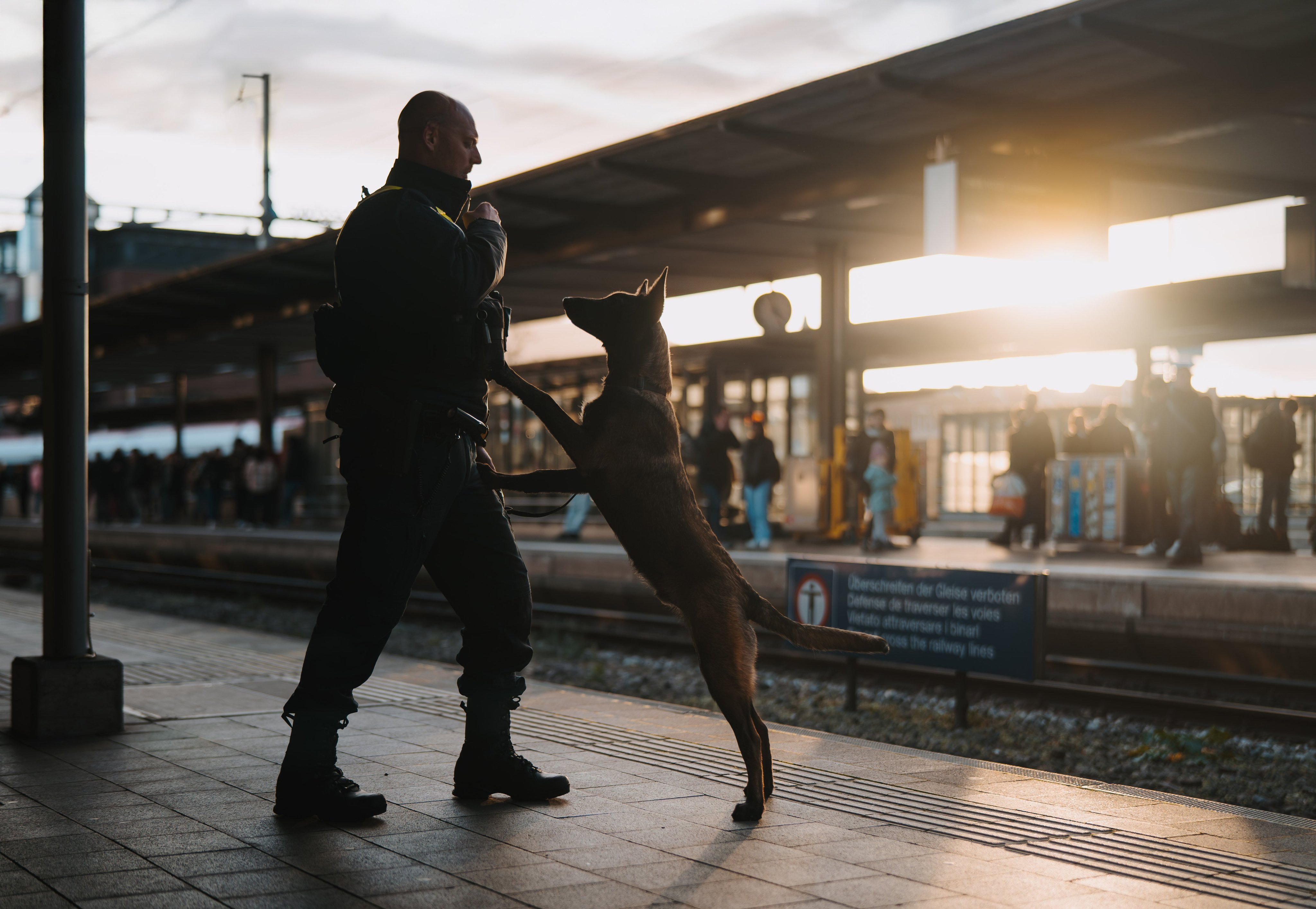 Ein Schäfterhund springt am Polizisten hoch, auf dem Perron mit Sonnenuntergang im Hintergrund.